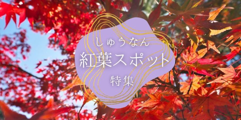 しゅうなん紅葉スポット特集