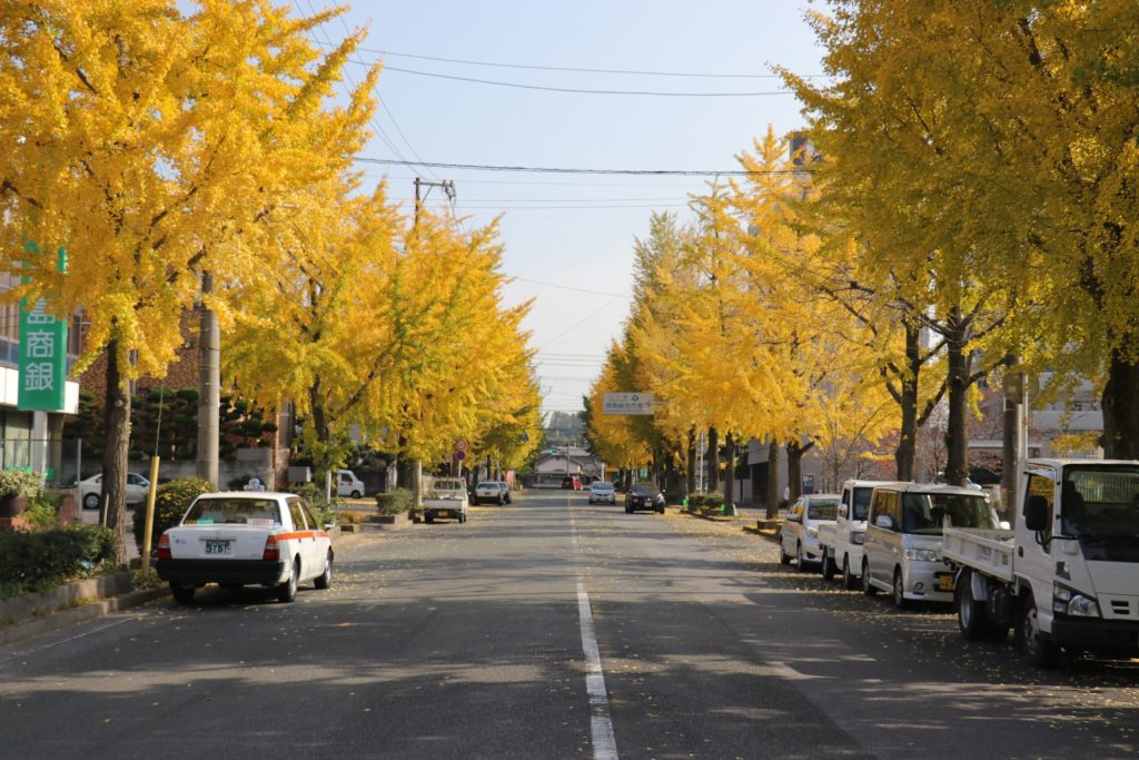 まちなかにも四季を感じられる風景が🍁