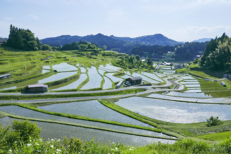 山間部の美しい風景もすぐそばに🌾