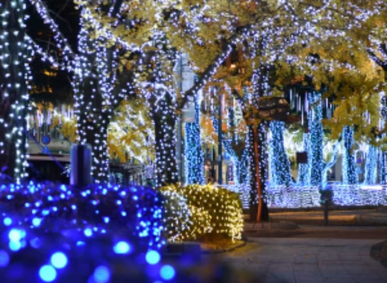 御幸通も色とりどりに彩られます